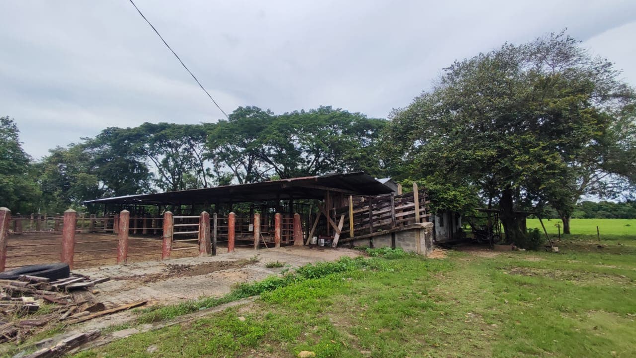 FINCA en Gestion - TARAZÁ, ANTIOQUIA - 11