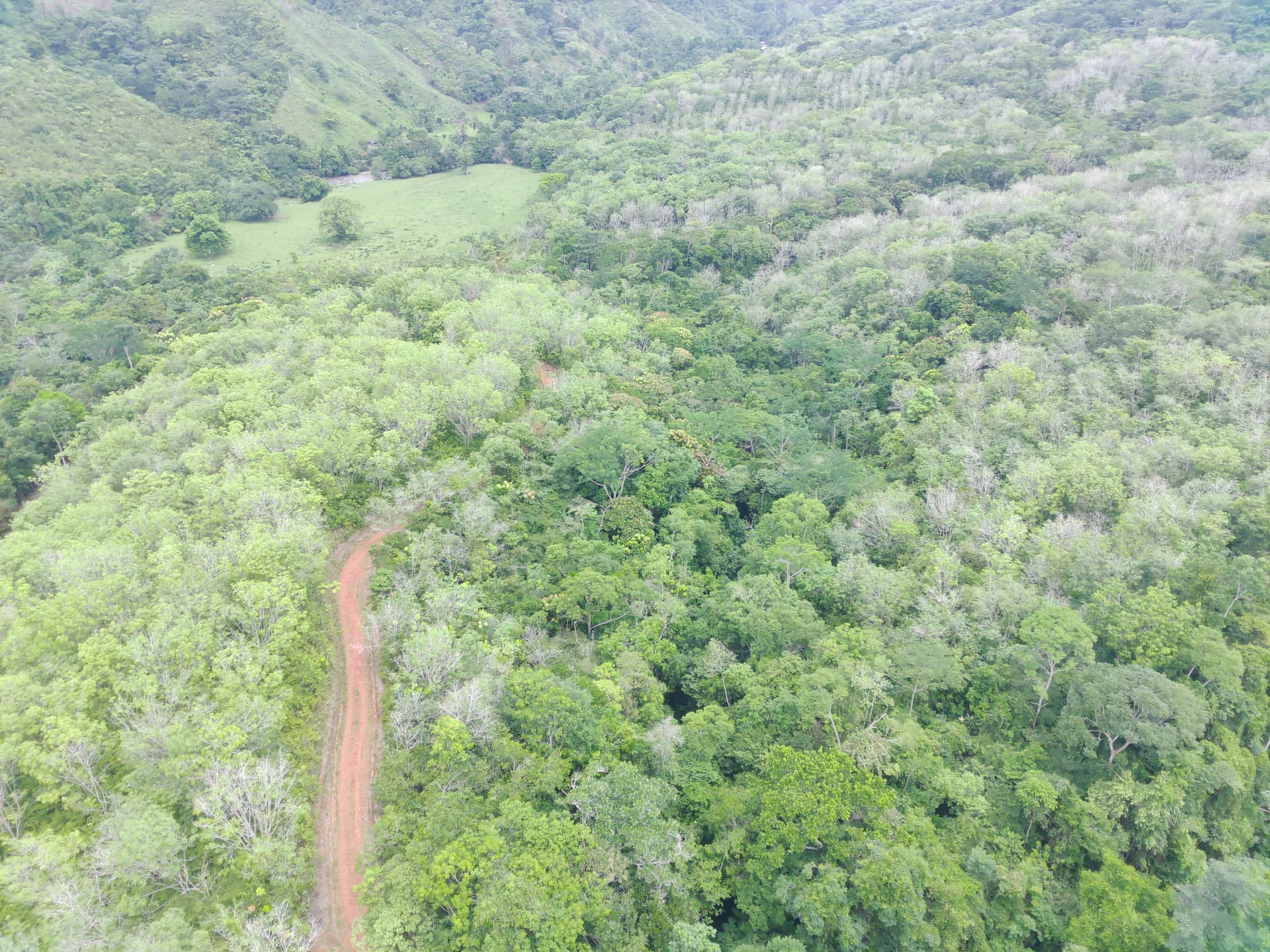 FINCA en Gestion - TARAZÁ, ANTIOQUIA - 4