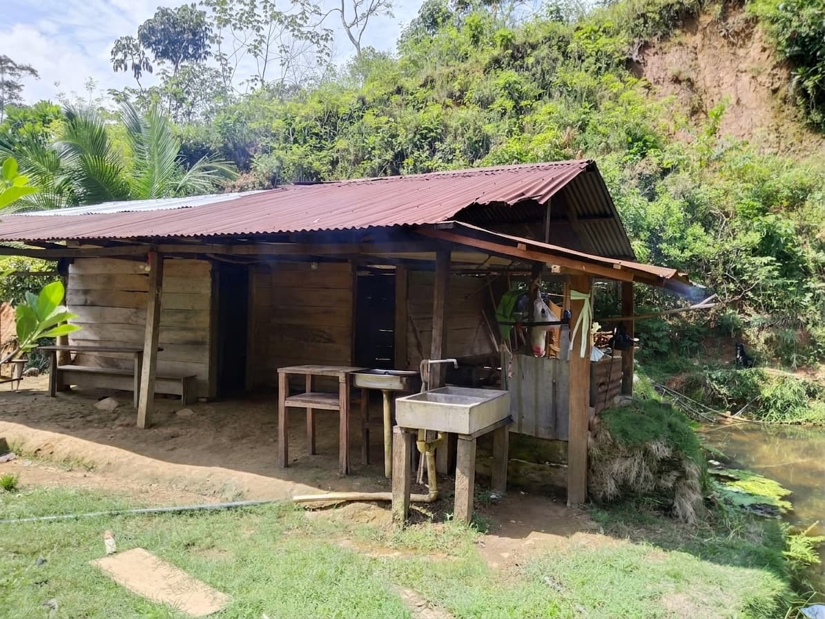 FINCA en Gestion - TARAZÁ, ANTIOQUIA - 2