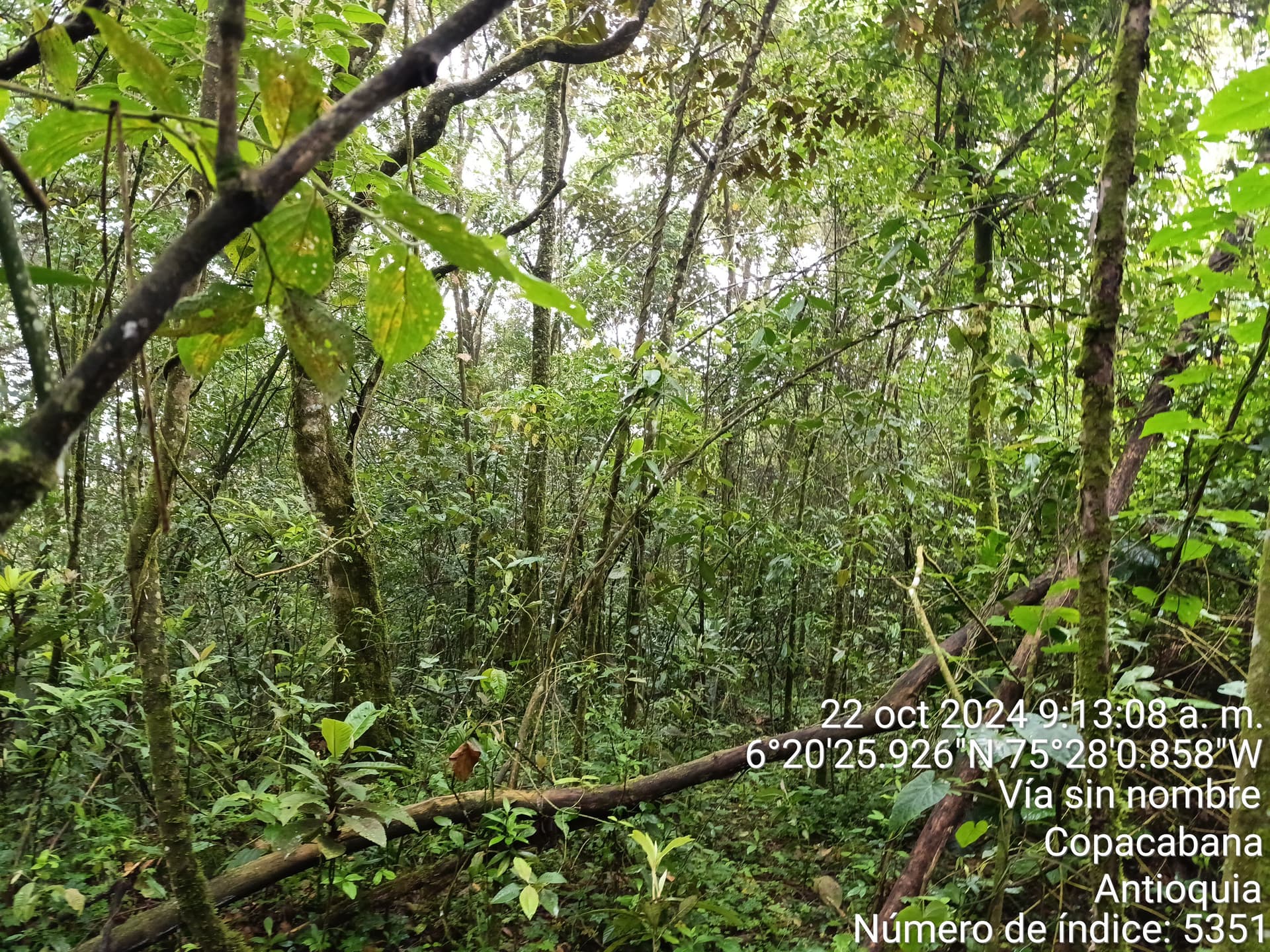 LOTE en Gestion - COPACABANA, ANTIOQUIA - 3