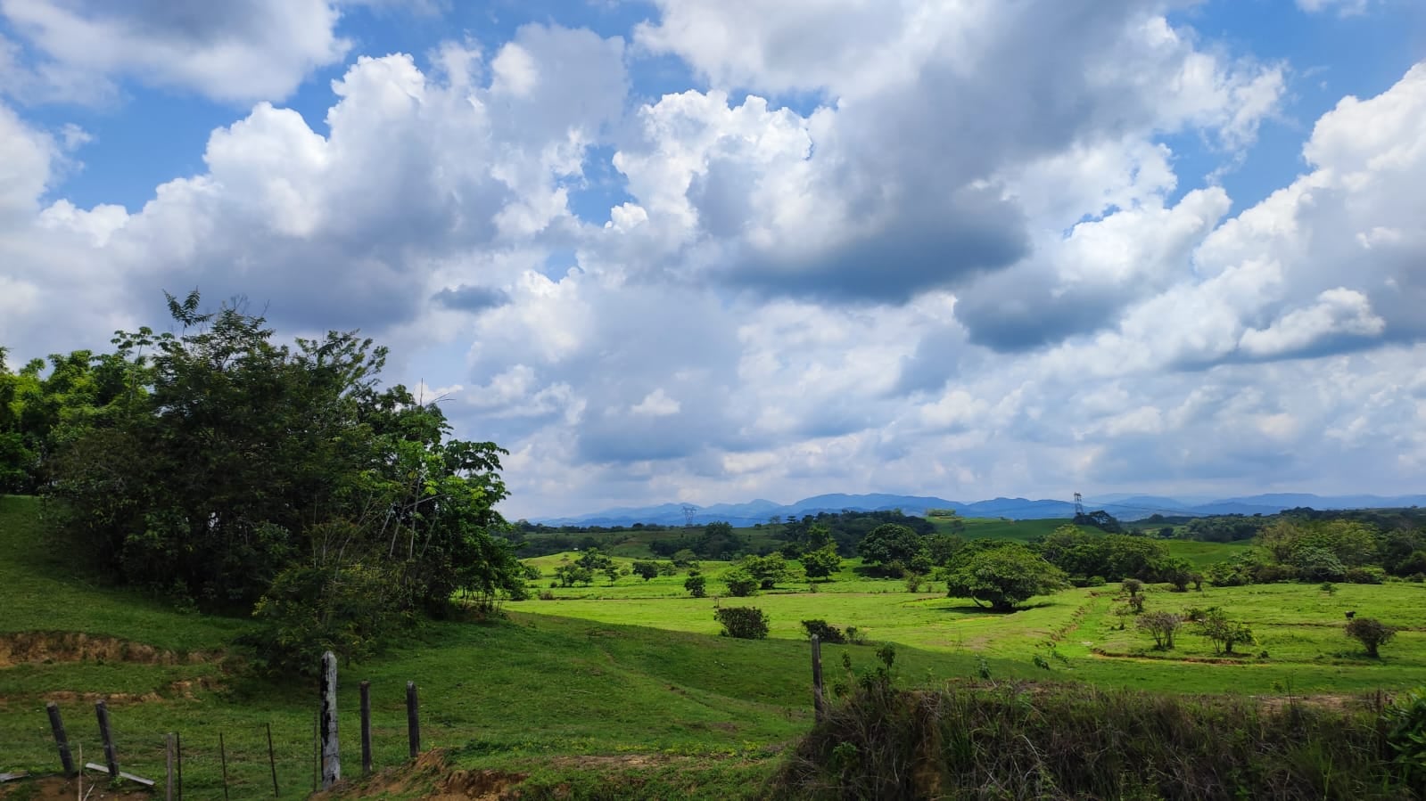 FINCA en Gestion - CÁCERES, ANTIOQUIA - 10