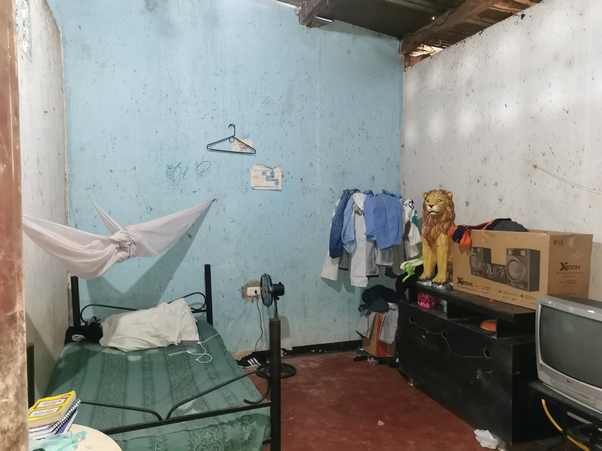 FINCA en Gestion - MORELIA, CAQUETA - 2