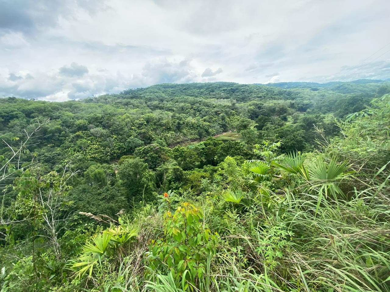 FINCA en Gestion - TARAZÁ, ANTIOQUIA