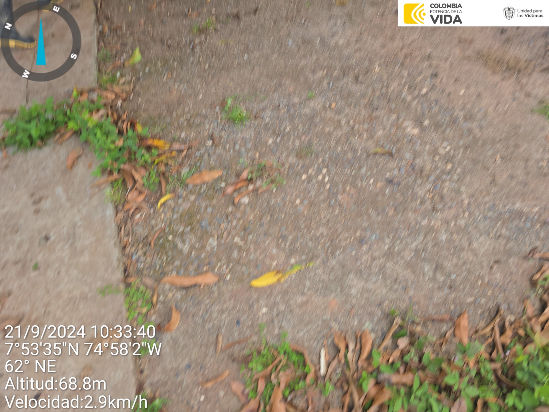 FINCA en Gestion - CAUCASIA, ANTIOQUIA - 23