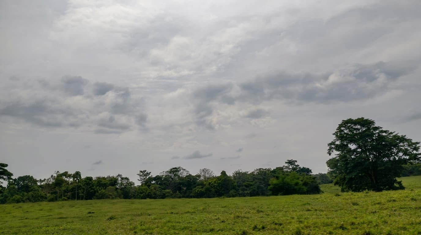FINCA en Gestion - TARAZÁ, ANTIOQUIA - 4
