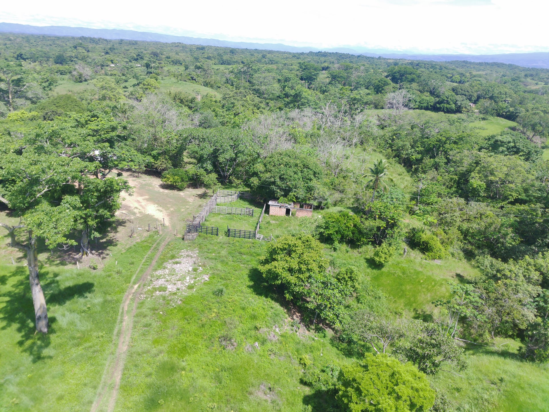 FINCA en Gestion - CÁCERES, ANTIOQUIA - 10