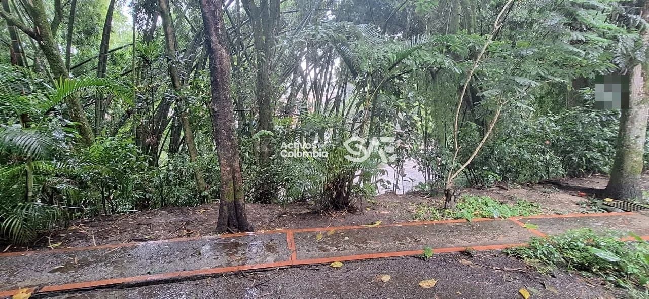 Apartamento en venta--Ibagué--Tolima - 3