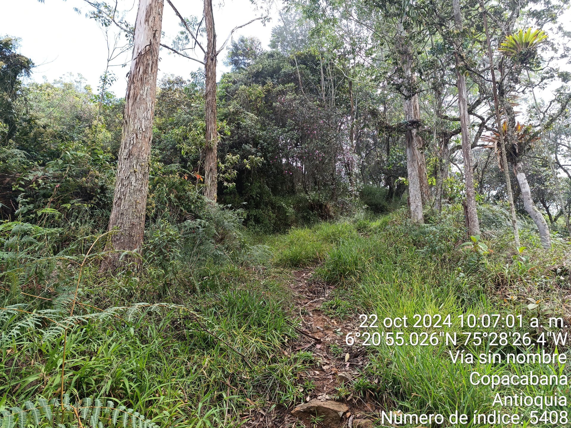 FINCA en Gestion - COPACABANA, ANTIOQUIA - 9