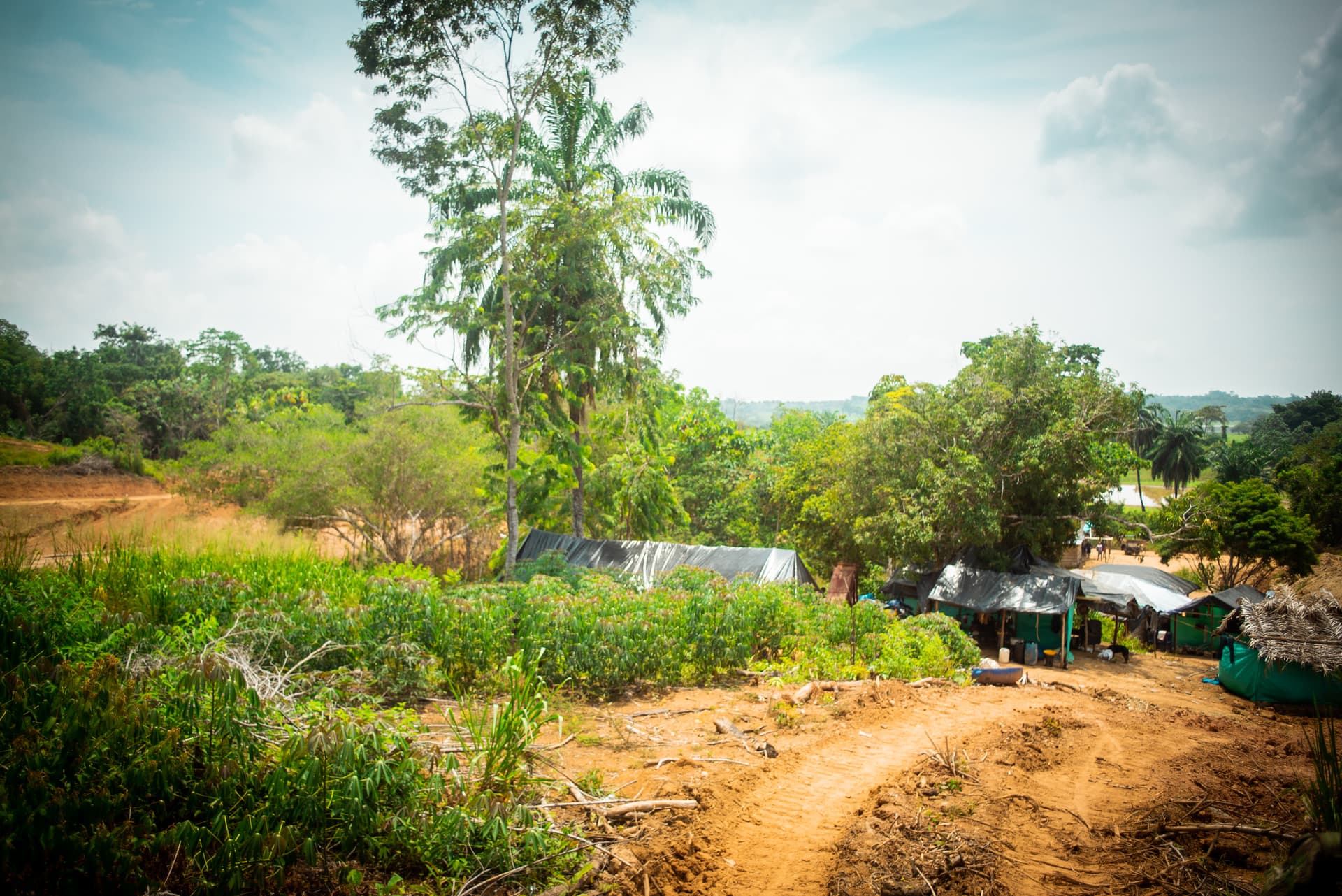 FINCA en Gestion - CÁCERES, ANTIOQUIA - 2