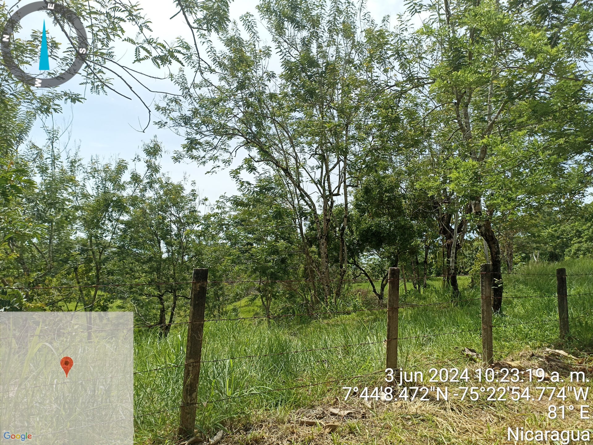 FINCA en Gestion - CÁCERES, ANTIOQUIA - 17