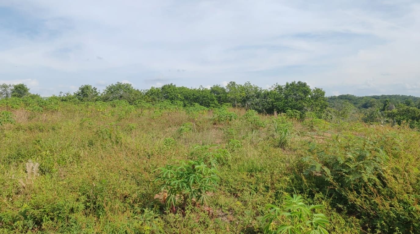 FINCA en Gestion - PUERTO PARRA, SANTANDER - 3