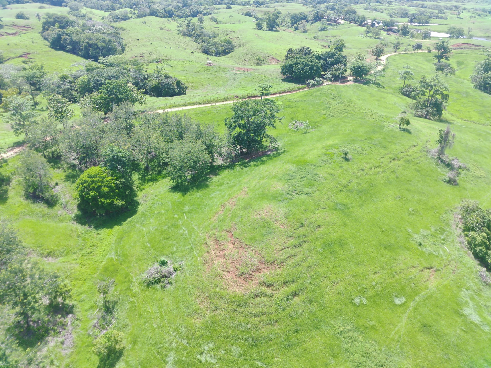 FINCA en Gestion - CÁCERES, ANTIOQUIA - 18