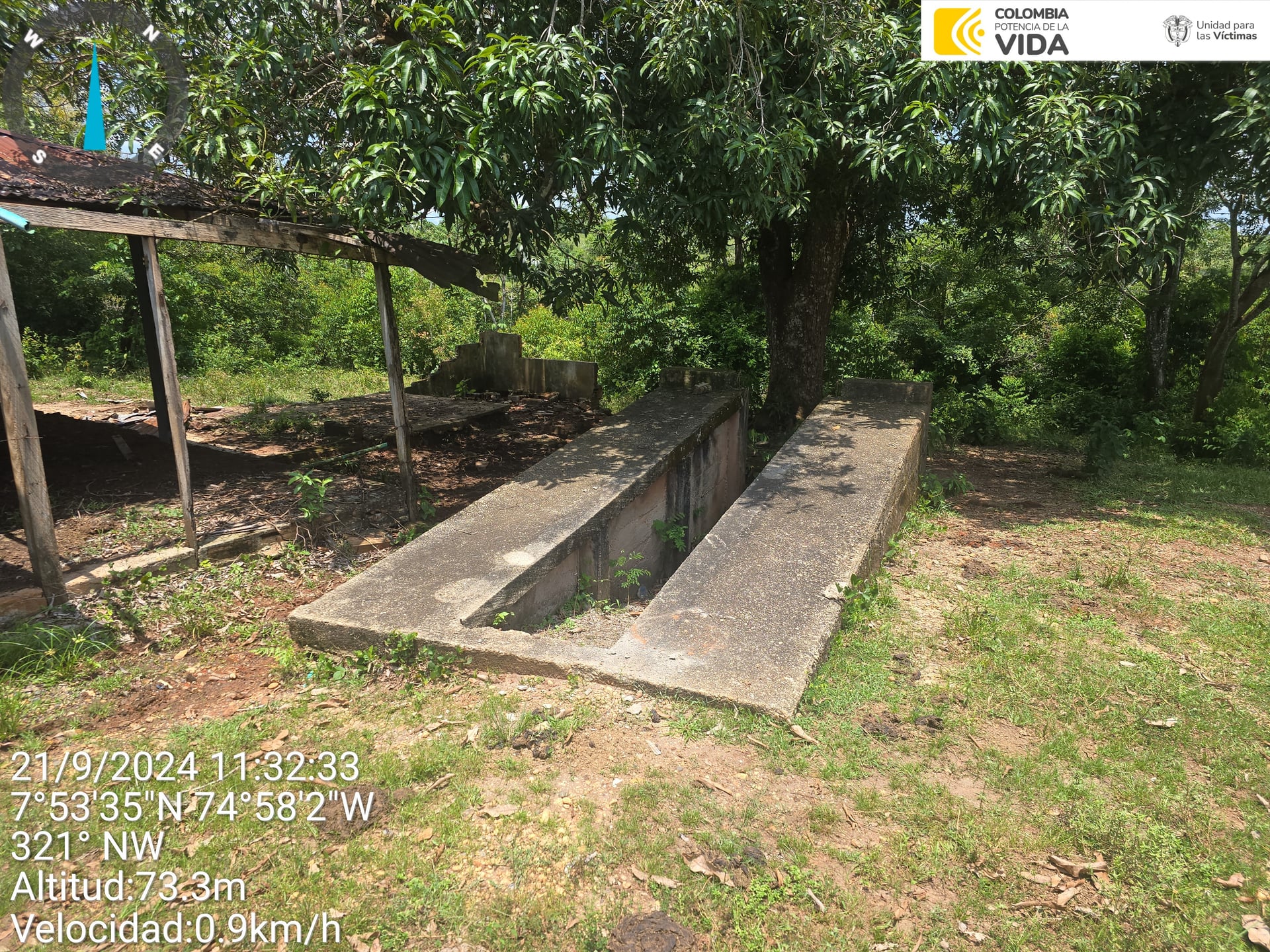 FINCA en Gestion - CAUCASIA, ANTIOQUIA - 19