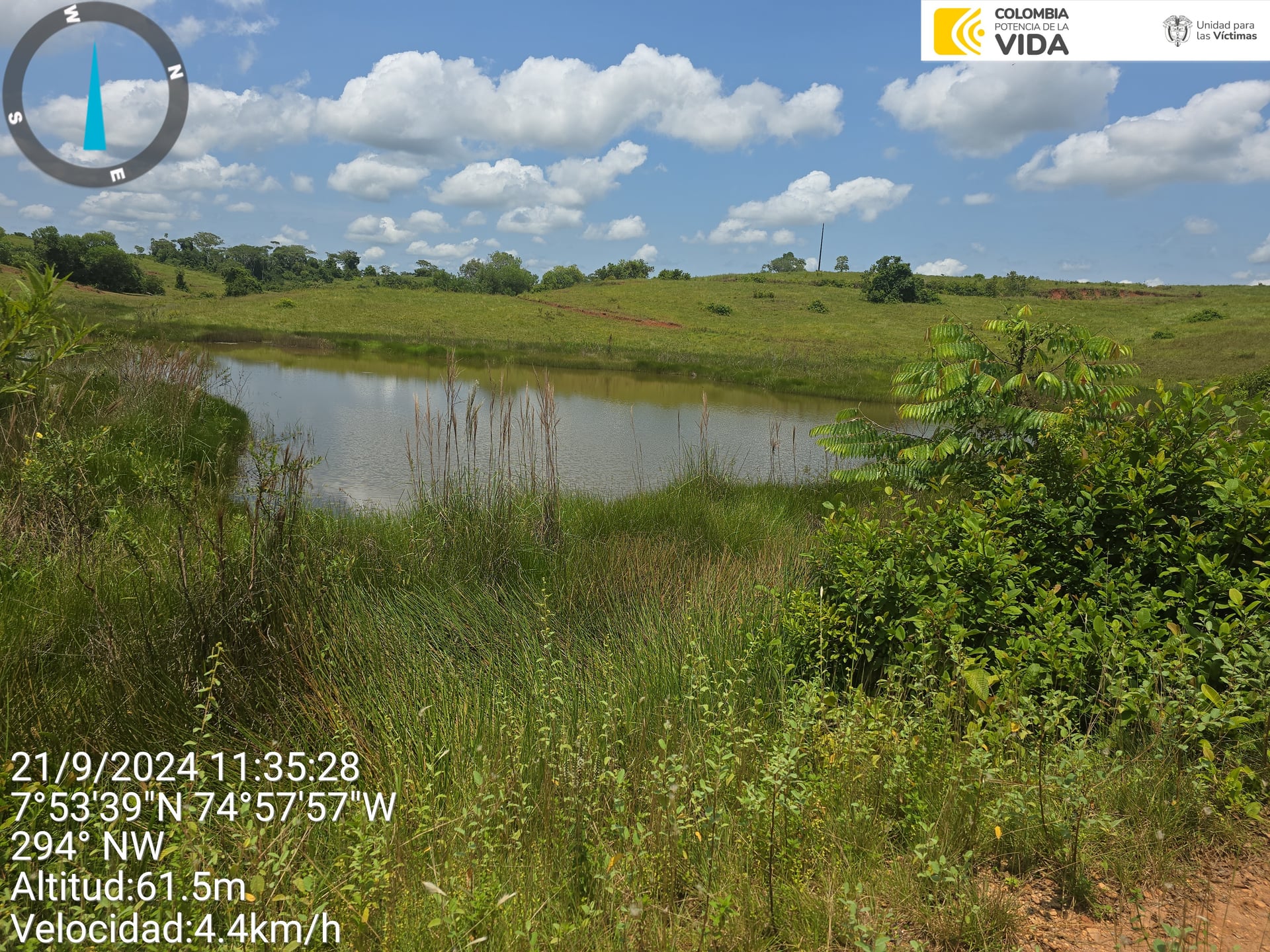 FINCA en Gestion - CAUCASIA, ANTIOQUIA - 5