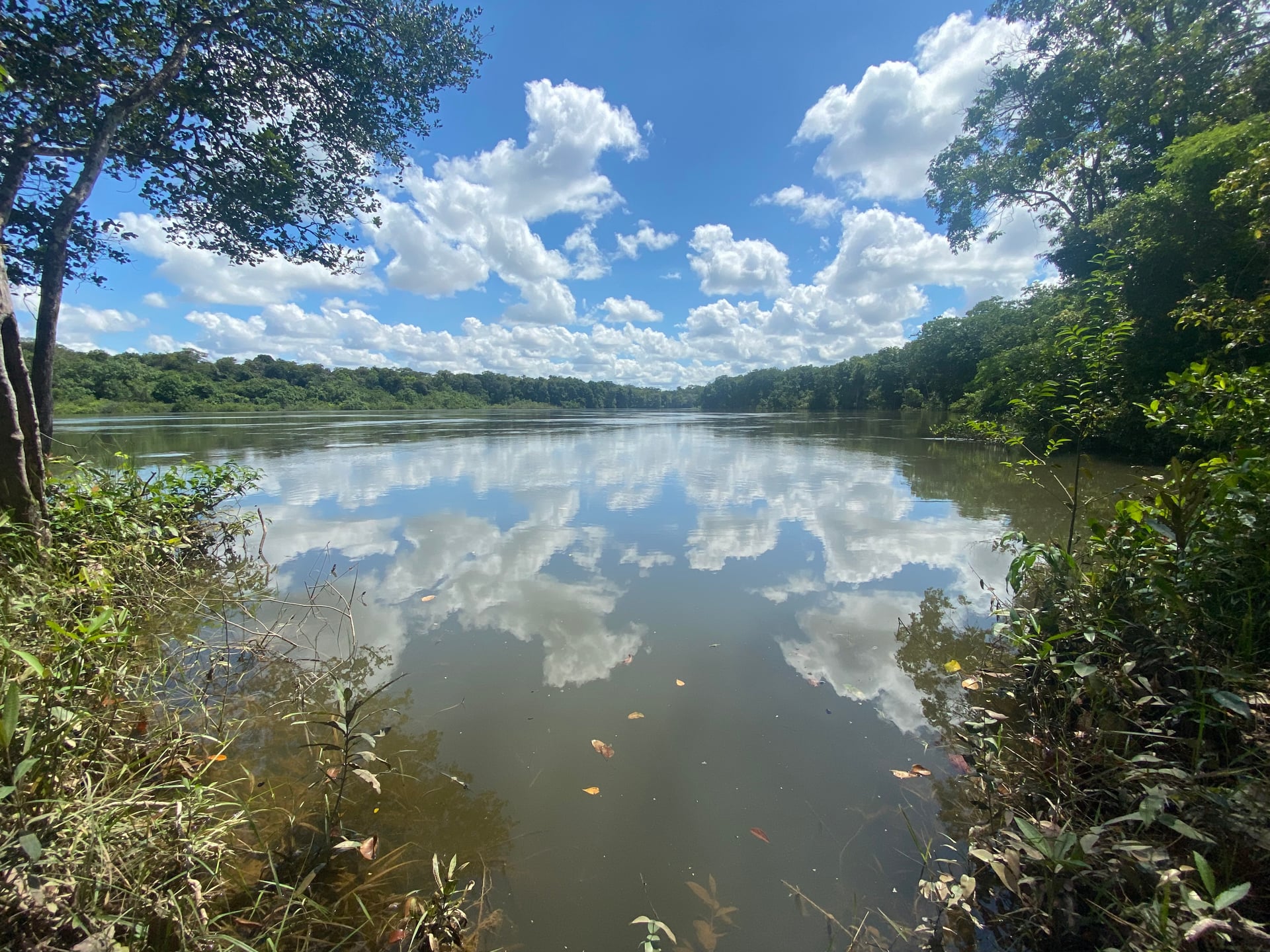 FINCA en Gestion - CUMARIBO, VICHADA - 2