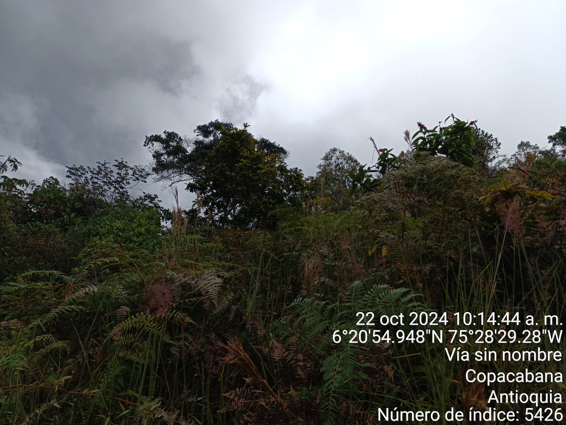 FINCA en Gestion - COPACABANA, ANTIOQUIA - 6