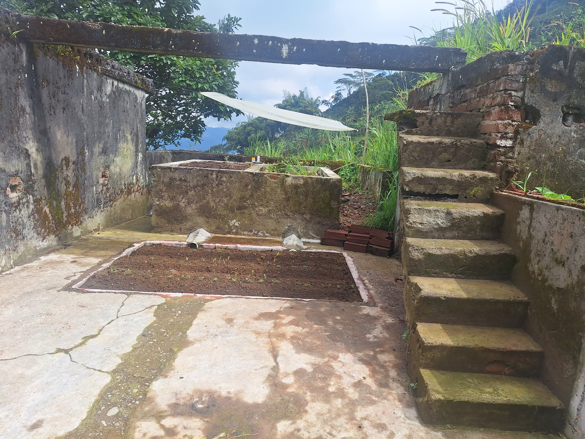 FINCA en Gestion - PEREIRA, RISARALDA - 7
