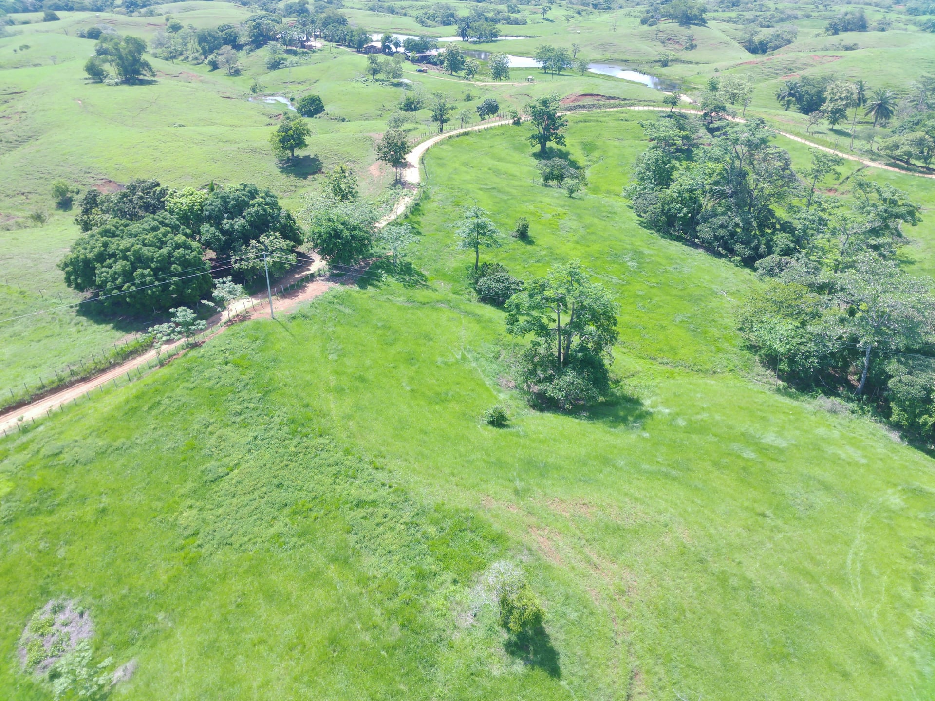 FINCA en Gestion - CÁCERES, ANTIOQUIA - 9