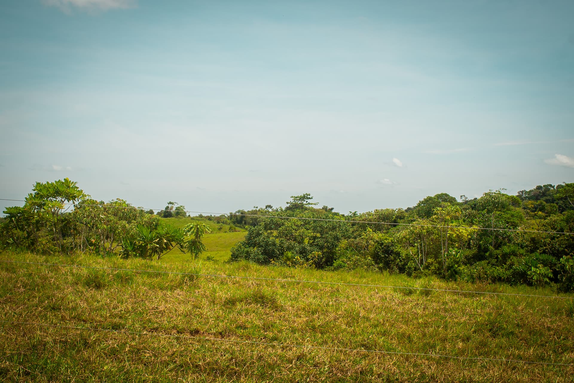 FINCA en Gestion - TARAZÁ, ANTIOQUIA - 3