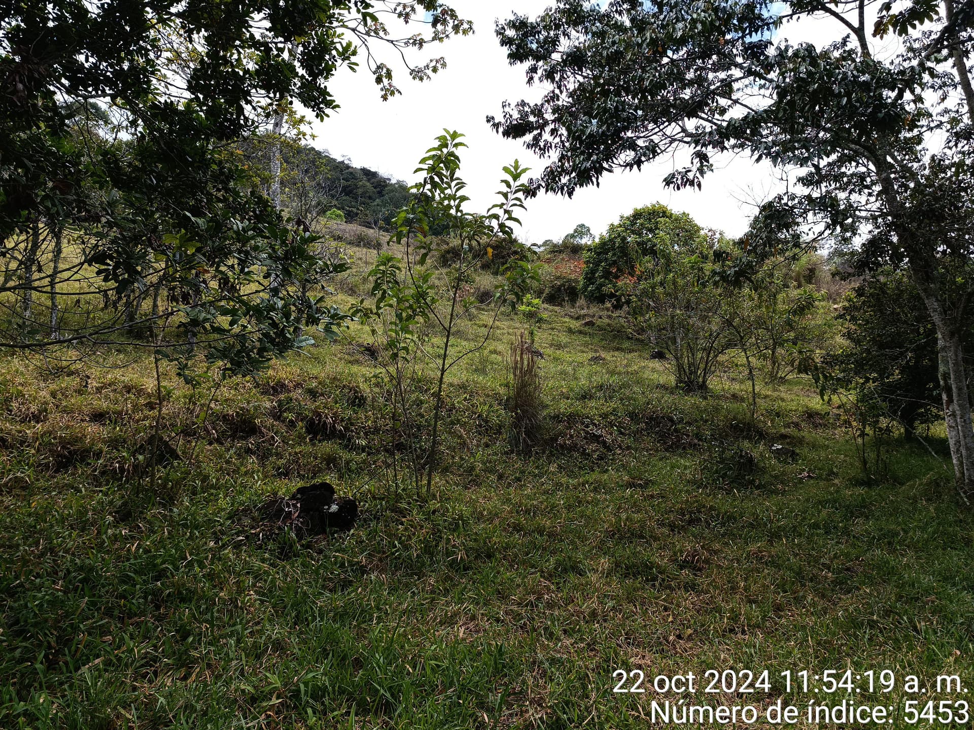 LOTE en Gestion - COPACABANA, ANTIOQUIA - 5