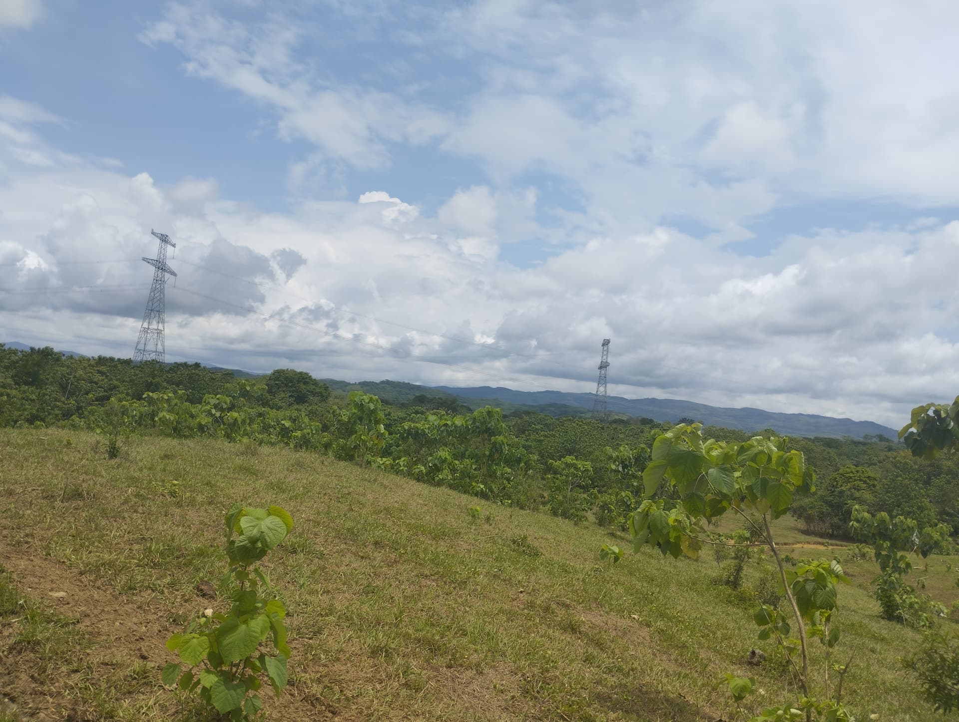 FINCA en Gestion - CÁCERES, ANTIOQUIA - 4