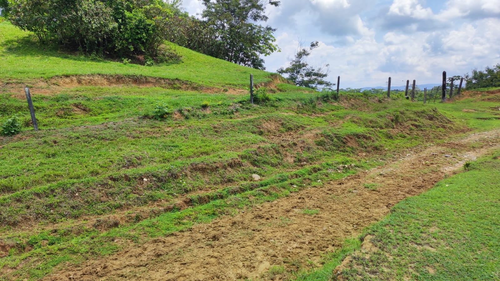 FINCA en Gestion - CÁCERES, ANTIOQUIA - 9