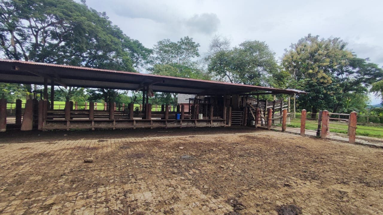 FINCA en Gestion - TARAZÁ, ANTIOQUIA - 20