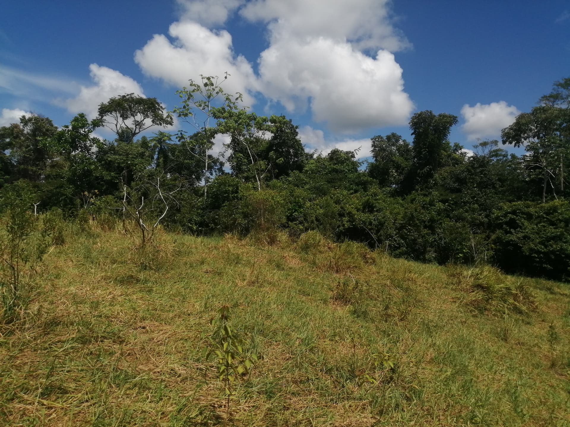 Finca en Venta - Taraza, Antioquia - 1