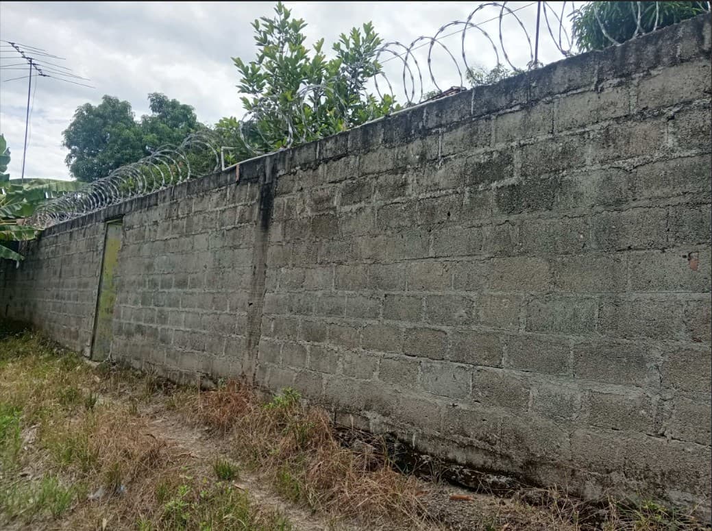 LOTE en Gestion - GUAMO, TOLIMA - 5