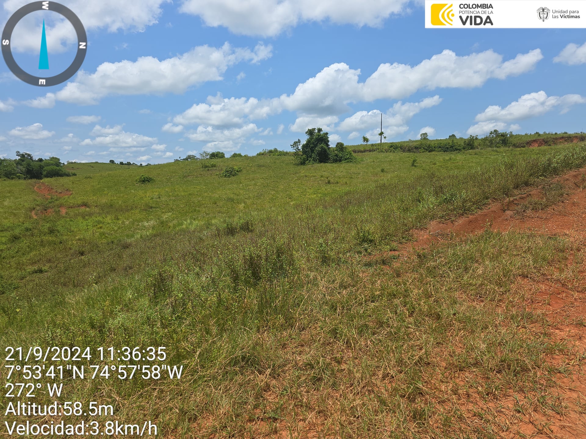 FINCA en Gestion - CAUCASIA, ANTIOQUIA - 4