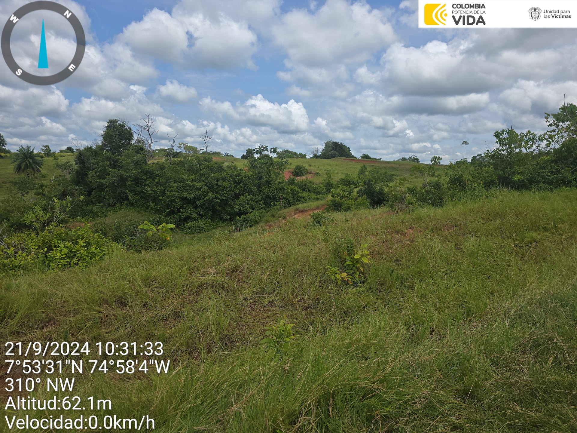 FINCA en Gestion - CAUCASIA, ANTIOQUIA - 27