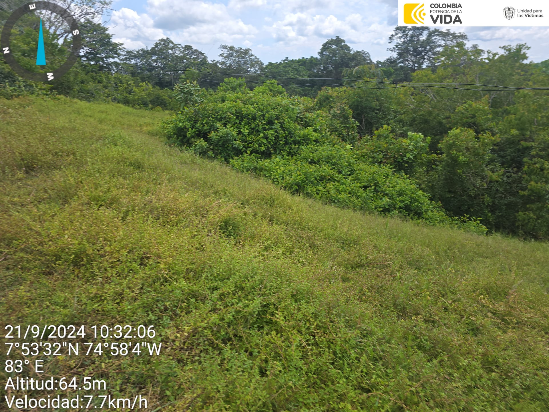 FINCA en Gestion - CAUCASIA, ANTIOQUIA - 6