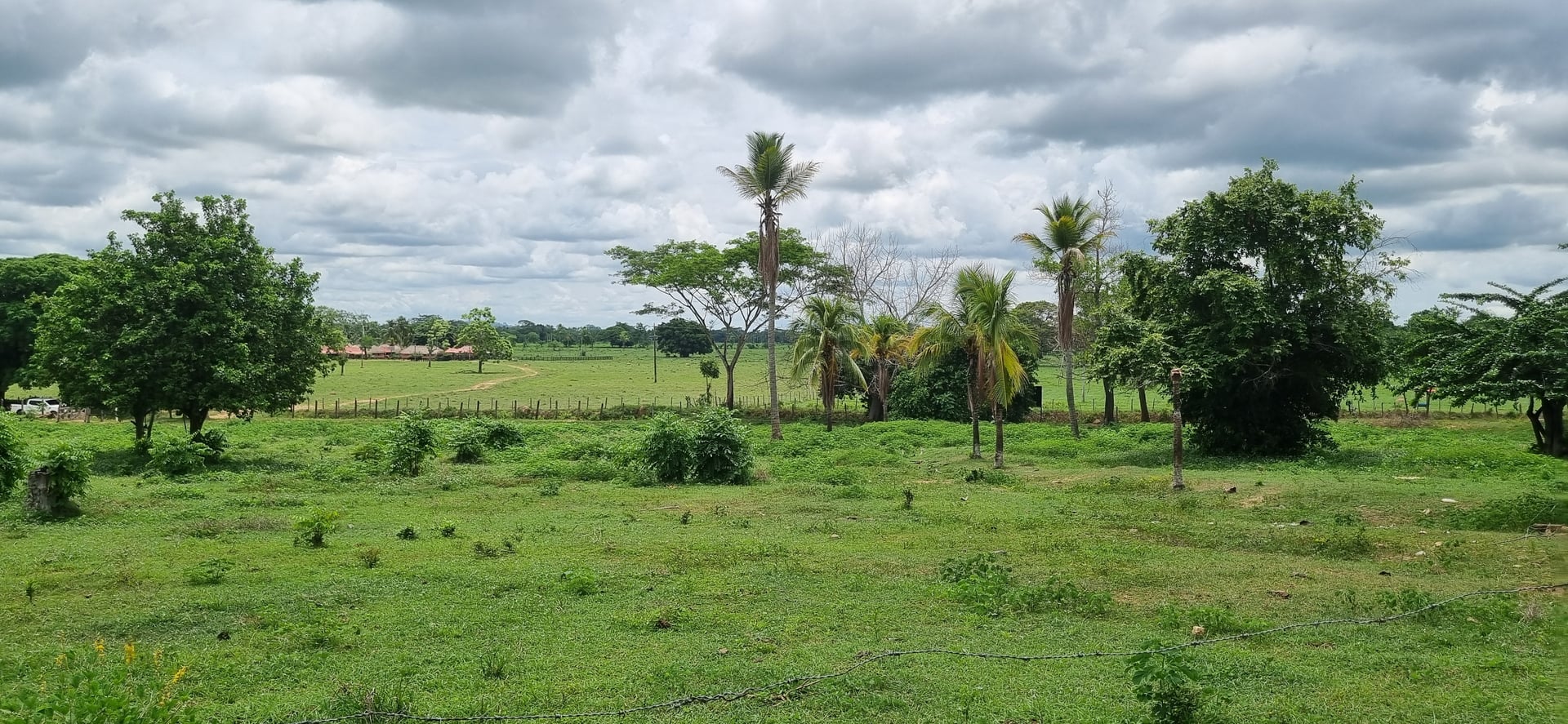 FINCA en Gestion - TIERRALTA, CÓRDOBA - 3