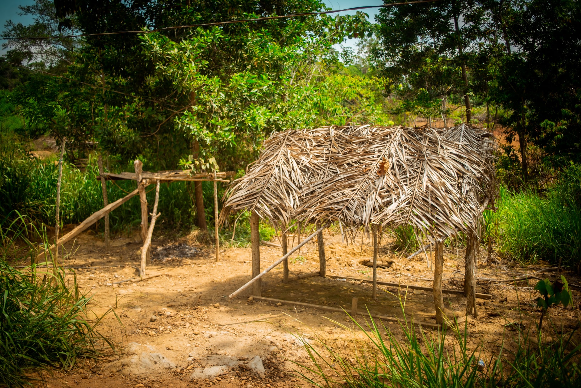 FINCA en Gestion - CÁCERES, ANTIOQUIA - 7