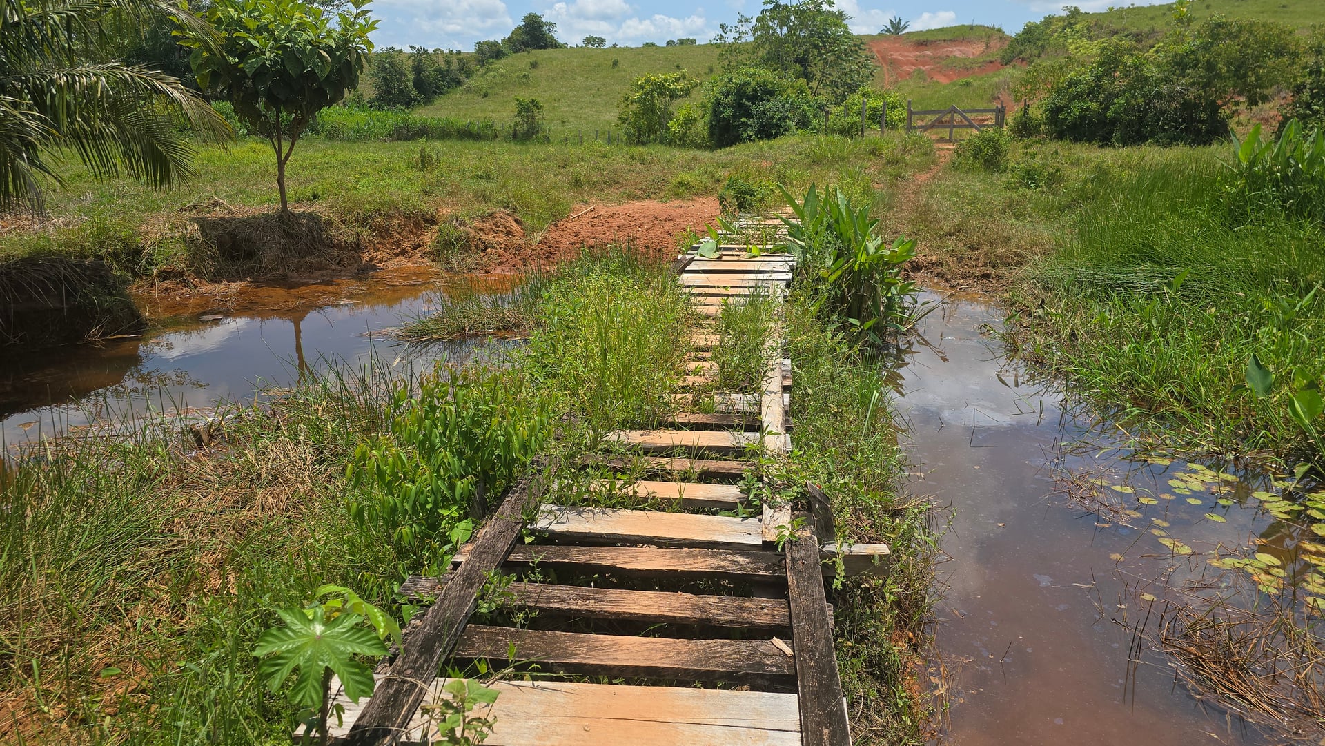 FINCA en Gestion - CAUCASIA, ANTIOQUIA - 57