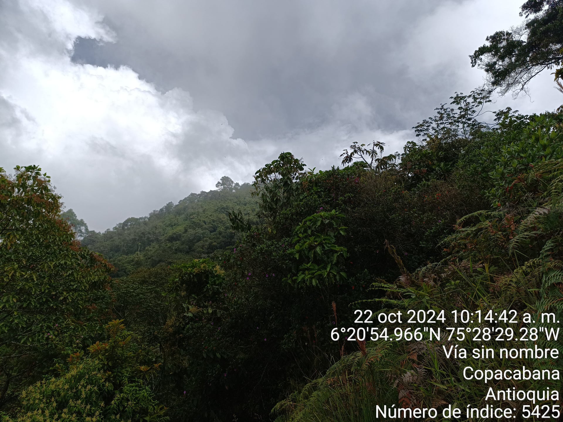 FINCA en Gestion - COPACABANA, ANTIOQUIA - 7