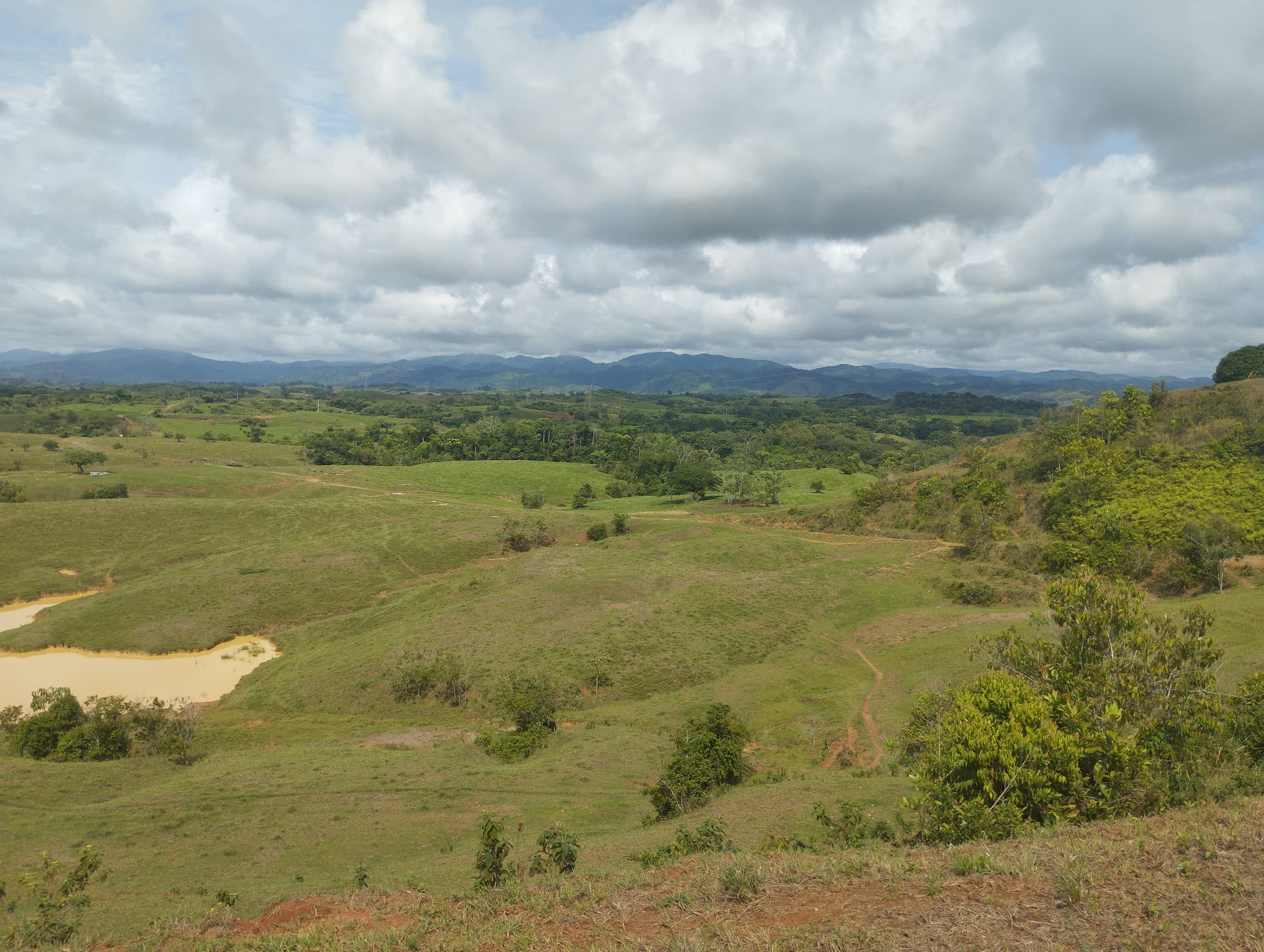 FINCA en Gestion - TARAZÁ, ANTIOQUIA - 8