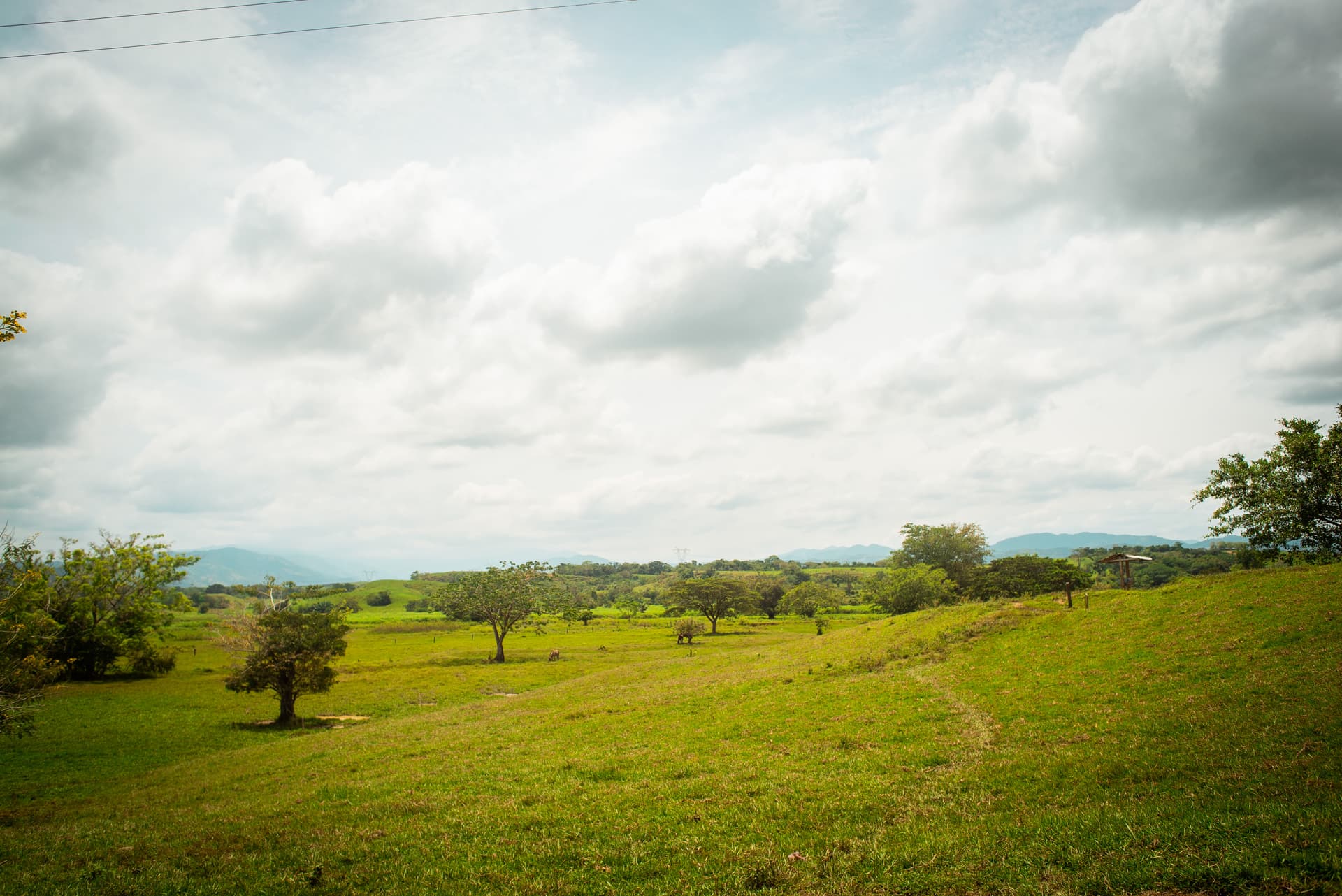 FINCA en Gestion - TARAZÁ, ANTIOQUIA - 6