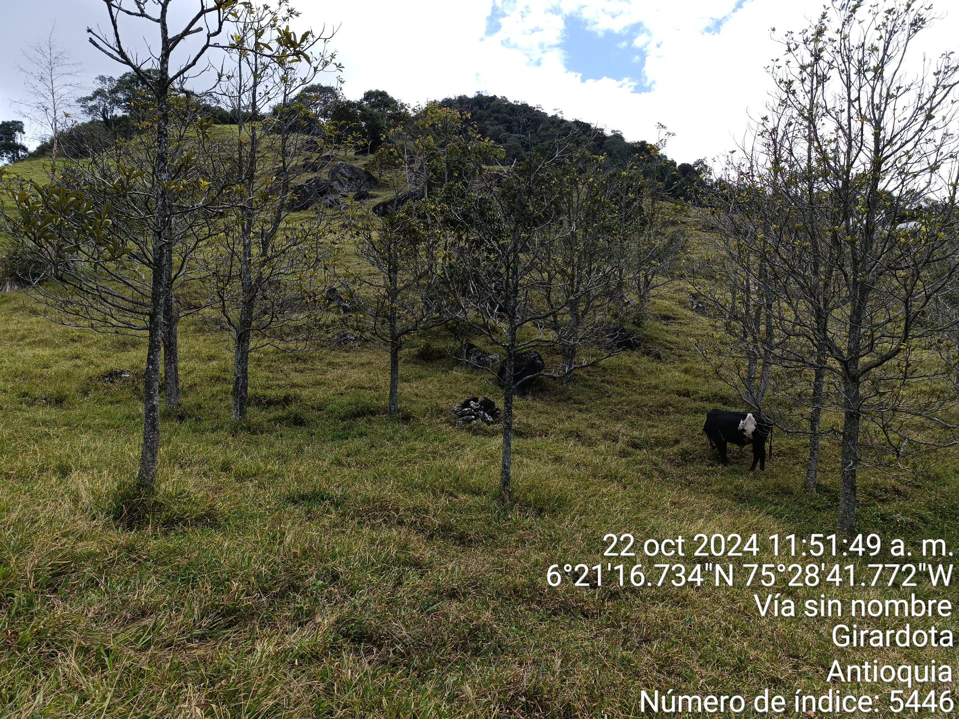 LOTE en Gestion - COPACABANA, ANTIOQUIA - 3