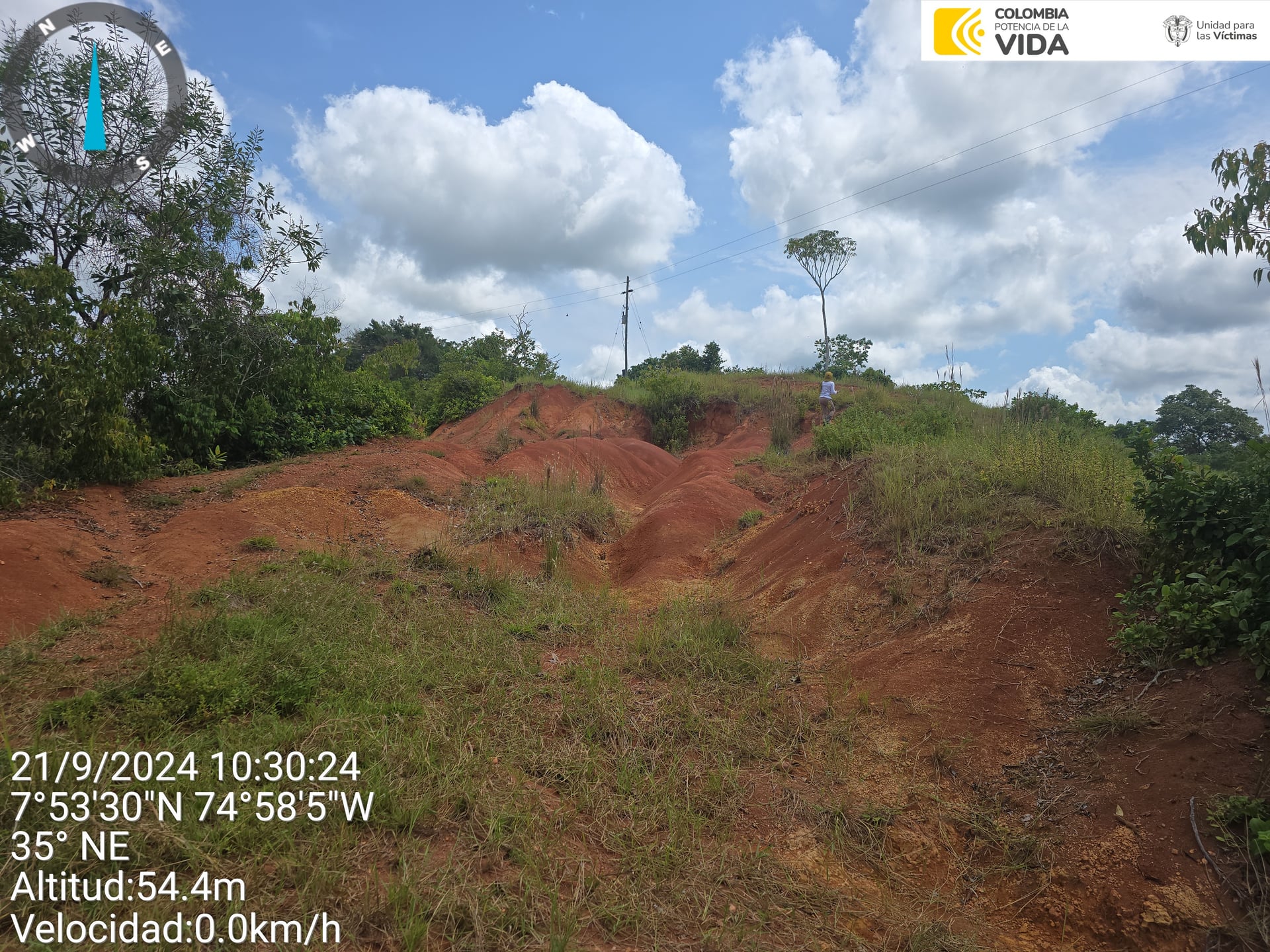 FINCA en Gestion - CAUCASIA, ANTIOQUIA - 36