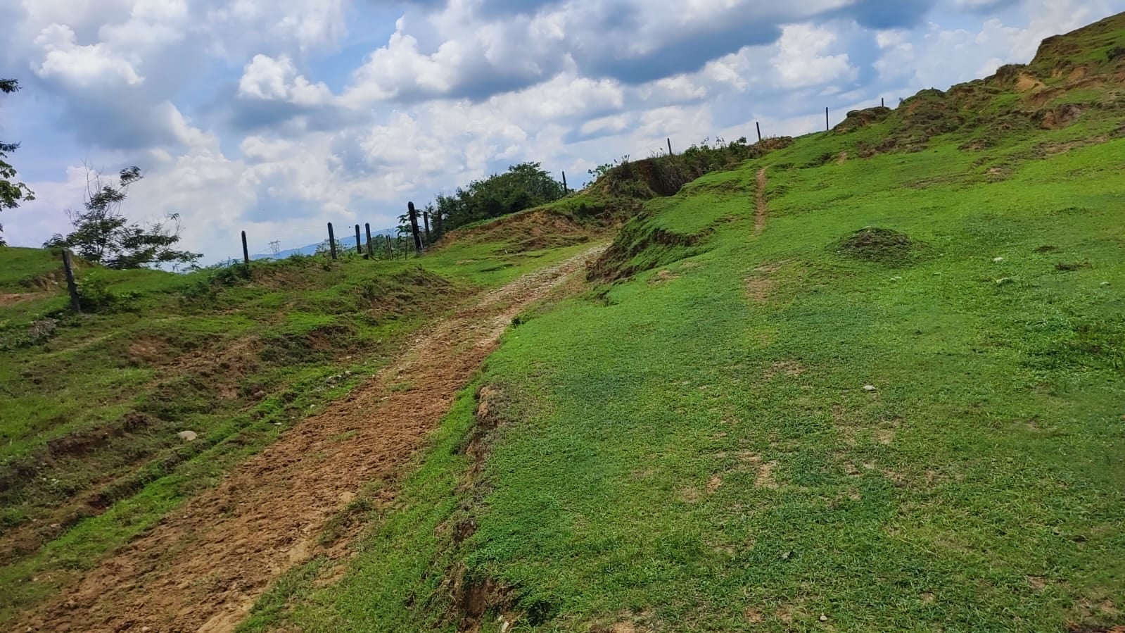 FINCA en Gestion - CÁCERES, ANTIOQUIA - 8