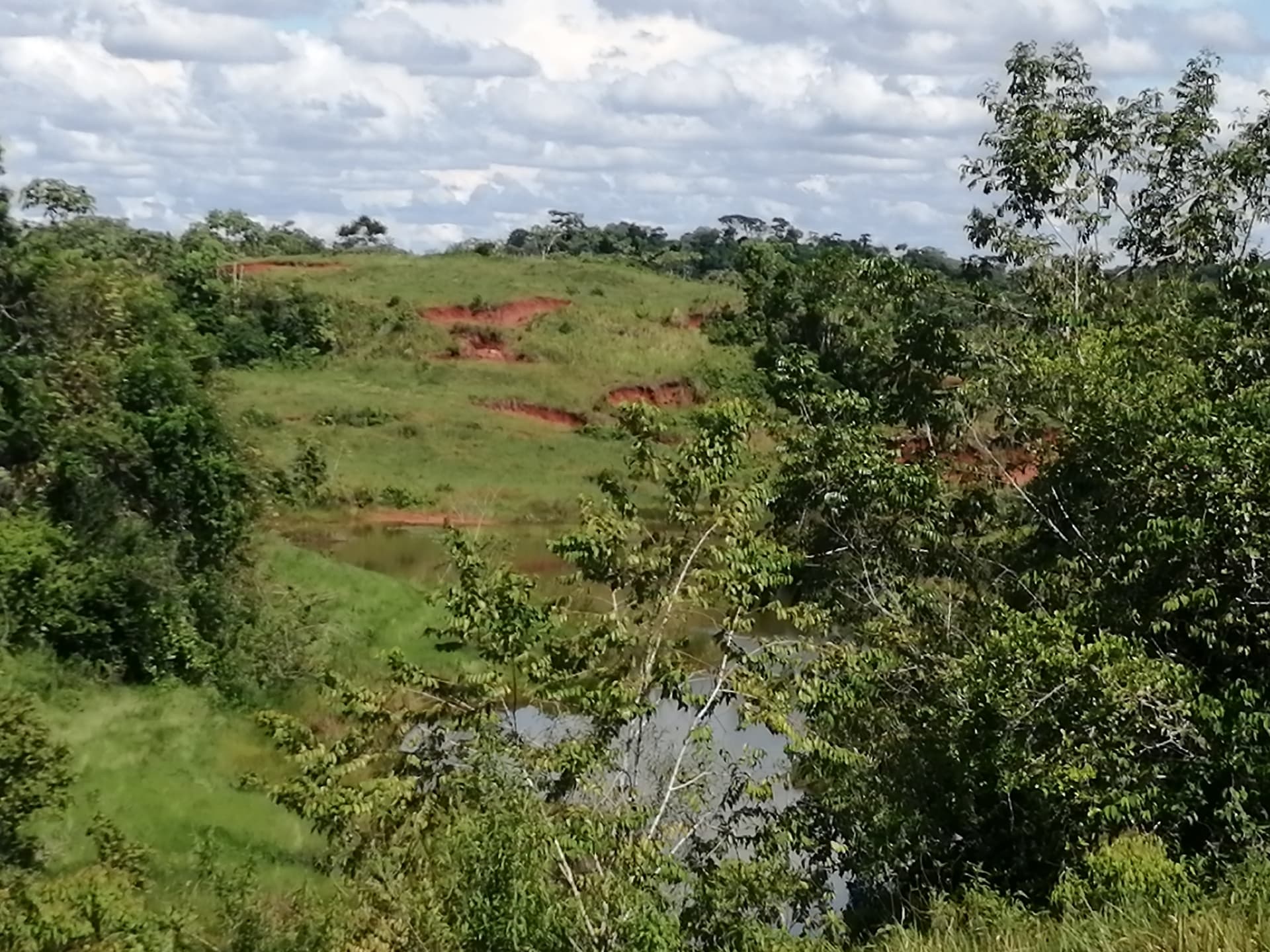 Finca en Venta - Taraza, Antioquia - 2