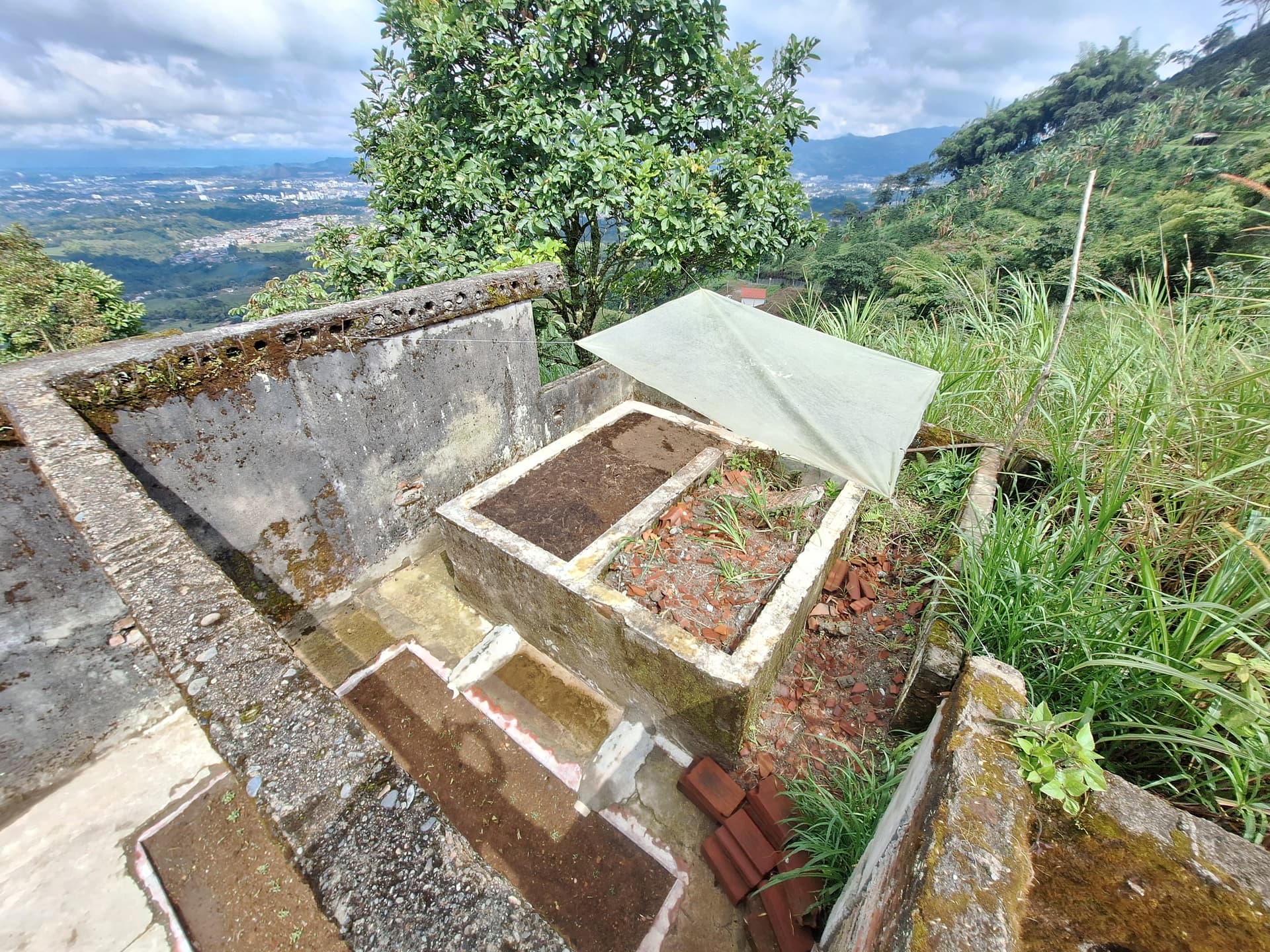 FINCA en Gestion - PEREIRA, RISARALDA - 3