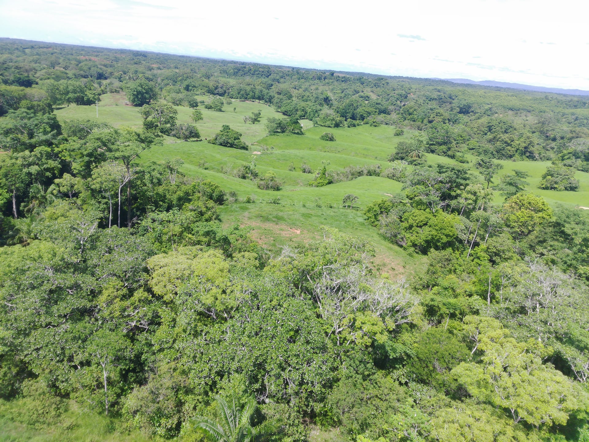 FINCA en Gestion - CÁCERES, ANTIOQUIA - 13