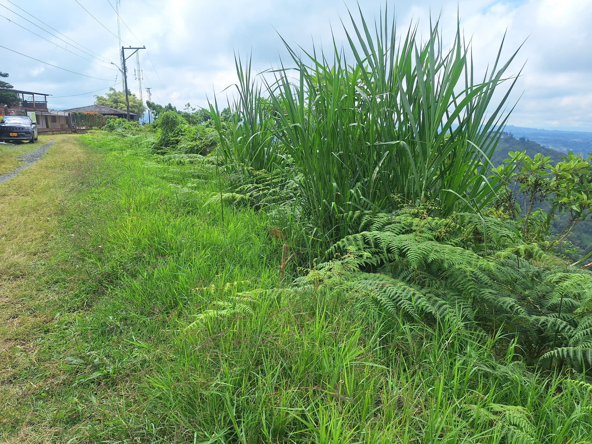 FINCA en Gestion - PEREIRA, RISARALDA - 10